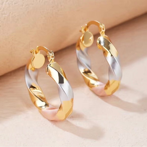 NWT Stainless Steel Twisted Golden Silver Hoop
Earrings - Picture 3 of 6